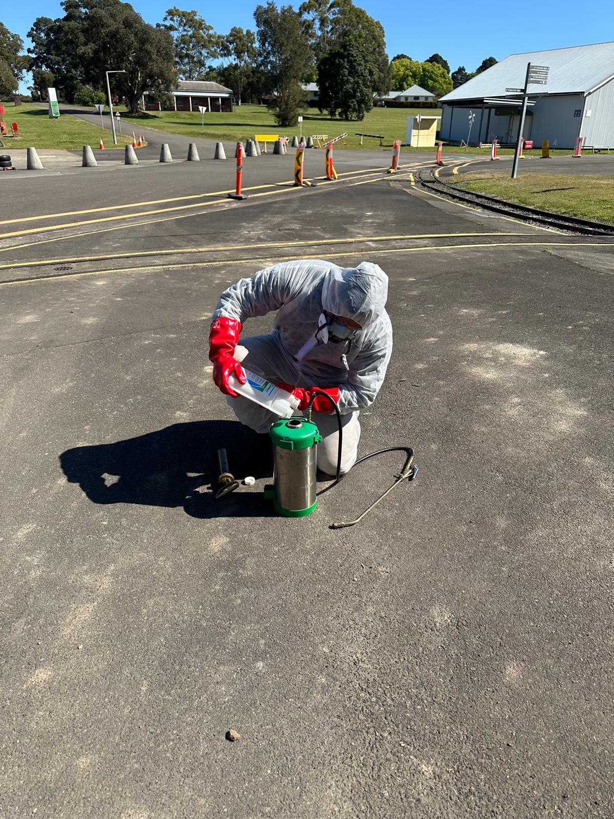 Pest Control Image 2