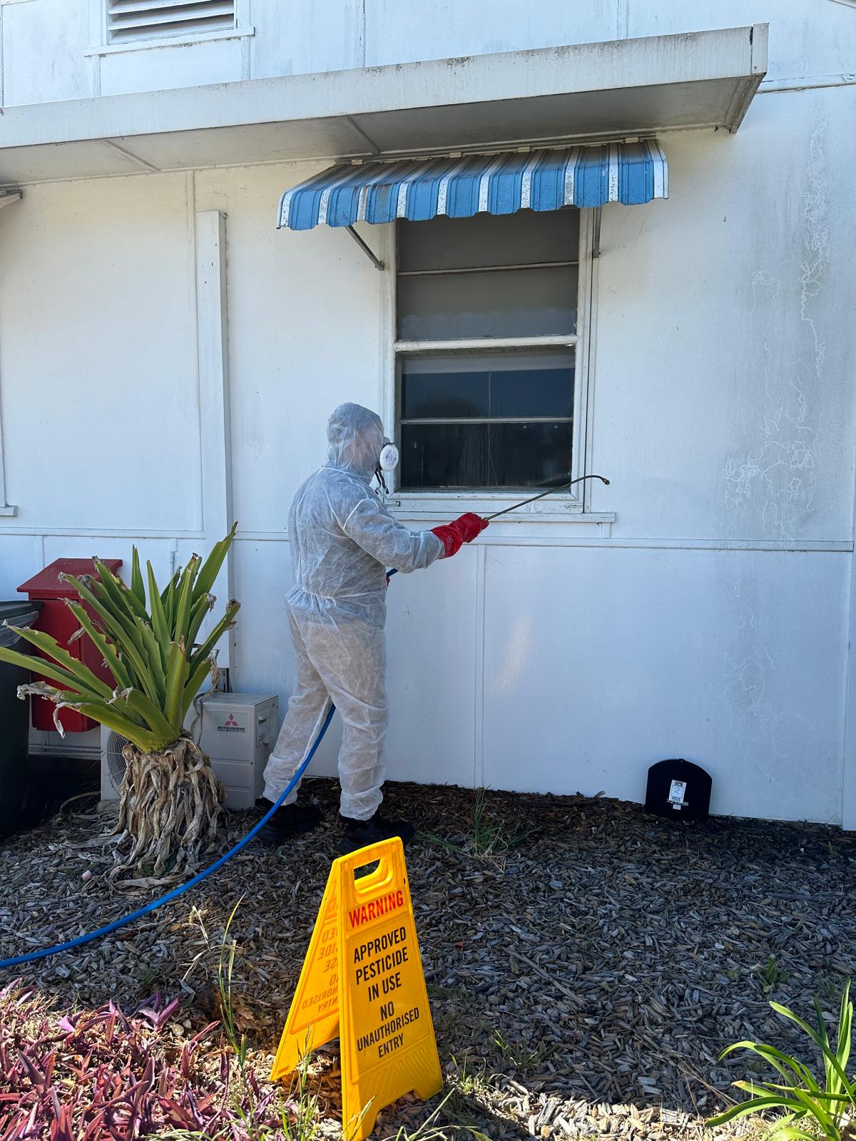 Pest Control Image 4