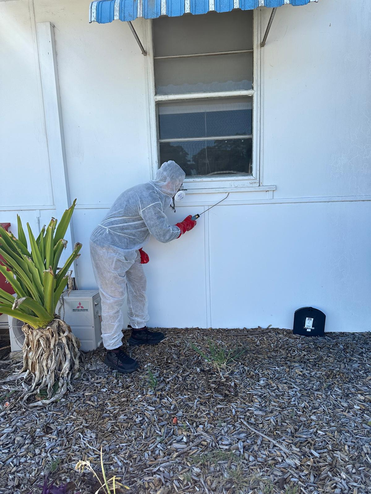 Pest Control Image 5